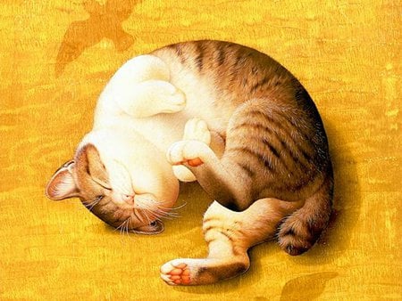 Sweet cat paws - animal, kitten, cat, sweet, yellow, feline, paw, mammal