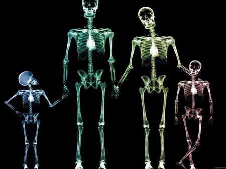 Family Of Skeletons - mom, me, sister, skeletons, dad, family, bones