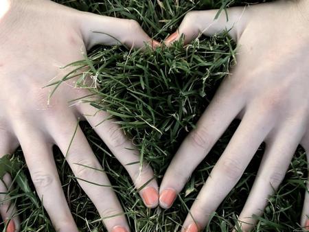 Heart From Two Hands - hands, heart, green, two, grass, love