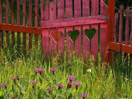 Garden of Love - hearts, fence, pretty, gate, romantic, pink, flowers, grass