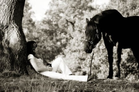 Love For a Horse - people, nature, black horses, tree, animals