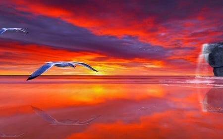 SEAGULLS - seagulls, ocean, reflection, cliff, clouds, colorful, sunset