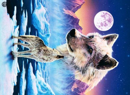 Wolf to the Moon - moon, animal, nature, wolf, fatasy, dog, art