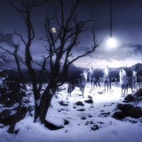 Wolves howling at a fake Moon