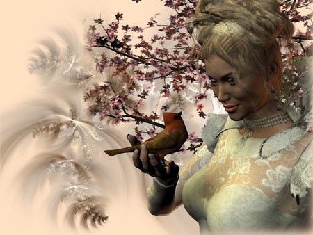 bird - nature, gentleness, fairy, bird