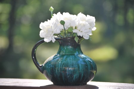 carnations - flowers, carnations, vase, still life