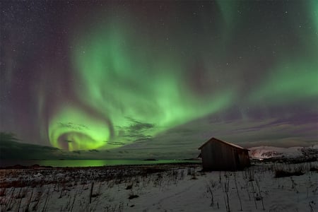 northern lights - sky, aurura borealis, alaska, beautiful