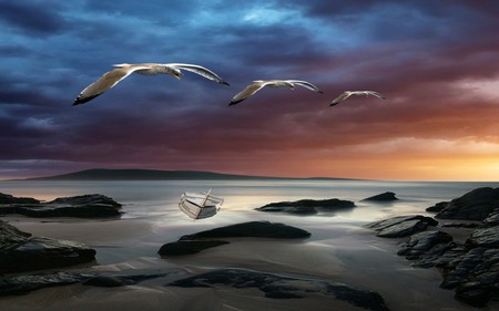 HOMECOMING - ocean, beach, sky, sunset, rocks, gulls, nature, homecoming, clouds, canoe, sea, sand, birds