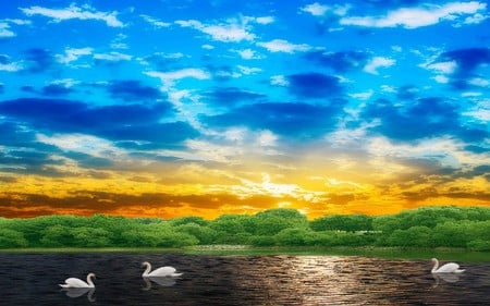 SWAN LAKE - clouds, colorful, trees, sunset, swan, lake, sky