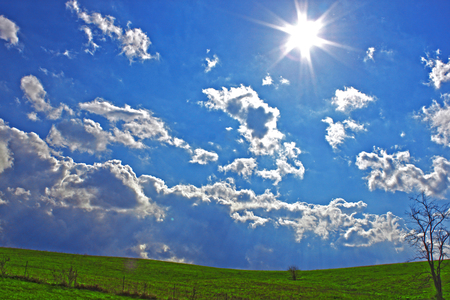 Super Perfect Day - sky, fence, day, sun, super, perfect, country, bright, blue, tree, grass