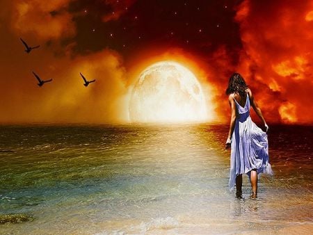 Dream Walk - woman, beach, sky, female, photography, water, full moon, clouds, birds, moon, stars, ocean, girl, 3d and cg, wallpaper, rising, abstract, sea, new