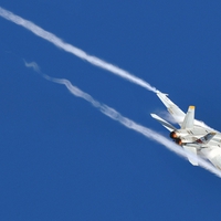 F-18 Hornet