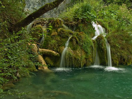 Plitvice lakes for Bizzybee360 - waterfalls, green, lakes, np, croatia, plitvice