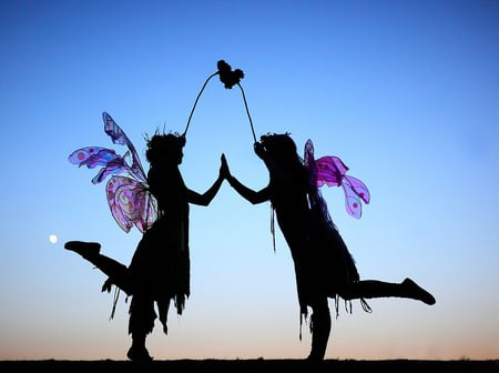 Special heart... - love, special, beauty, silhouette, heart, wings, black, double, abstract, purple