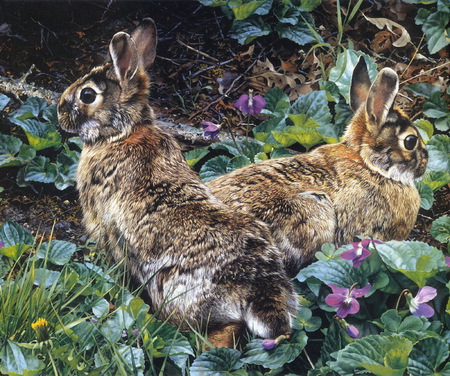 Garden visitors - carefully, rabbits, brown, mauve, grass, colors, visitors, flowers, white, look, green, garden, little