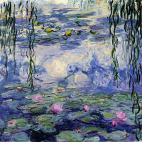 Monet water lillies