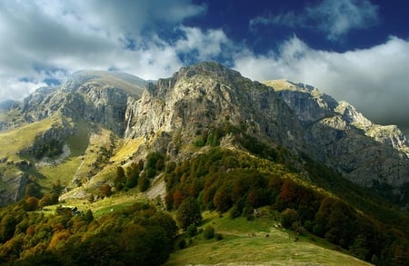 Mountain - peak, forest, rocks, beautiful, photo, landscepe, sky, forests, clouds, view, photography, trees, nature, mountain, bulgaria