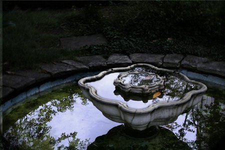 Fountain - pretty, water, fountain, photography, beauty, photo, reflection, tree, bulgaria