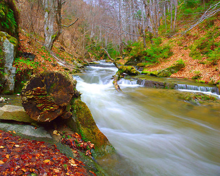 Autumn River - autumn, photography, bulgaria, nature, fall, forest, river, leaves, fallen, tree, photo