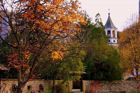 Monastery - trees, bulgaira, photography, photo, architecture, religious, tree, fall, nature, autumn, view, nice, monastery