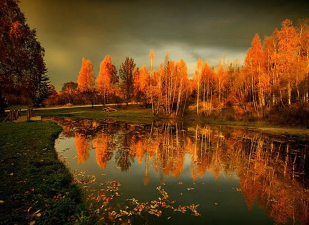 Beautiful Autumn Reflection - beauty, autumn, sky, trees, water, fall, yellow, reflection, dark, river, clouds, mountain, bulgaria, nature, tall, beautiful, photpgraphy, leaves, fallen, photo