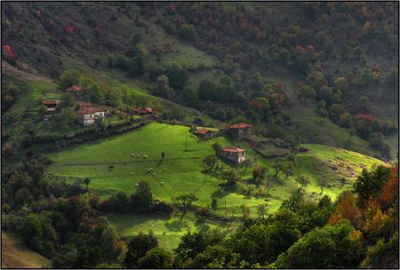 Rhodope Mountain - forest, mointain, photgraphy, photo, village, country, forests, view, trees, nature, bulgaria, green