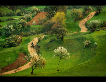 Spring Walk - people, cart, landscape, grass, spring, photo, mountain, path, view, trees, photography, road, tree, nature, season, green, bulgaria