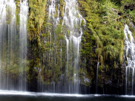 Waterfall - trees, nature, waterfall, leaves