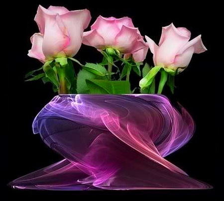 Sweetheart pink - roses, black background, wisps, pink, three