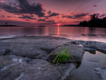 Sunset - pretty, splendor, pink, reflection, view, lake, sky, clouds, trees, pink sunset, water, beautiful, beauty, colors, lovely, nature, sunset, peaceful, rocks