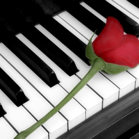 piano&rose for my friend mel22