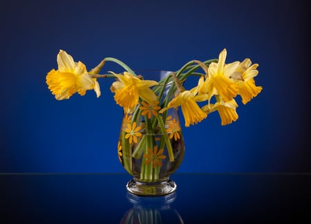 yellow on blue - flowers, vase, background, still life