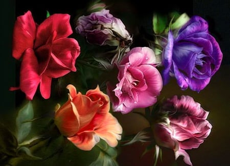 Blooms for Barb - flowers, roses, purple, red, colors, pink, peach, leaves