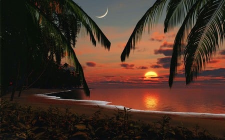 PARADISE SUNSET - clouds, moon, sunset, beach, palm trees, paradise, ocean, sky