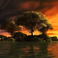 TREE ISLAND SUNSET