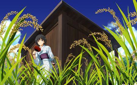 Nanasaki Ai - game, anime, nanasaki ai, girl, bag, yukata, manga, smile, amagami, cute, field