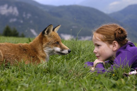 sympathy - girl, meadow, sympathy, fox