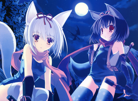 Night Nekos - moon, anime, neko, catgirl, night, cat, cat ears, girls, animal