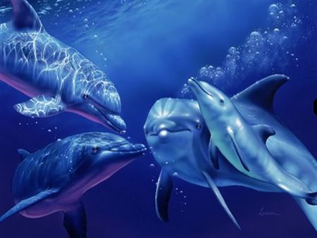 DOLPINS FIVE - dolphins, ocean, baby, look