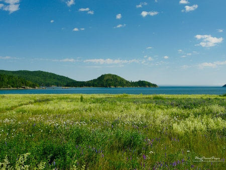 Quebec, Canada - quebec, canada, nature, grass