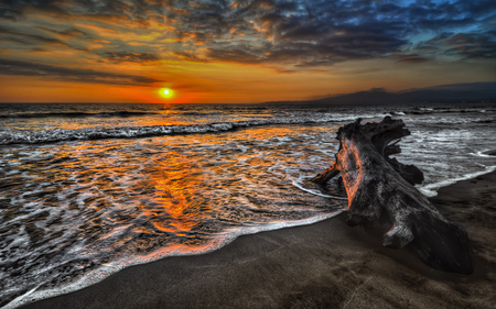 Sunset - wood, amazing, beach, splendor, reflection, sand, view, ocean waves, sky, other, sun, clouds, sunlight, beautiful, sea, driftwood, beauty, colors, lovely, ocean, colorful, nature, sunset, waves, peaceful