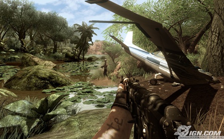 Target - target, shoot, adventure, far cry, video game, weapon