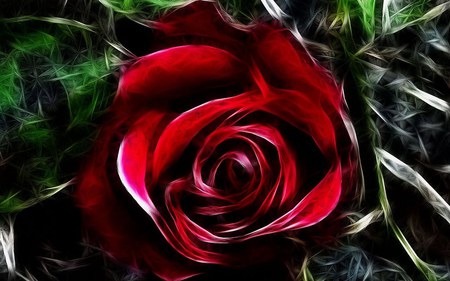 The Rose - nature, 3d, red, rose, flower