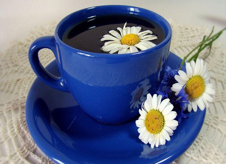 Daisy tea - good morning, flower, beauty, plate, cup, blue, tea, sunny day, daisy