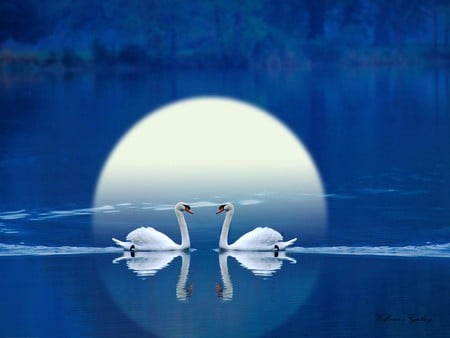 MOON LIGHT BEAUTYS - mmon, lake, blue, light