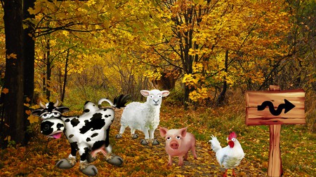 Are You Sure This is the Way? - autumn, cow, hog, pig, sign, road, sheep, chicken, fall, rooster, trail, leaves, color, firefox persona