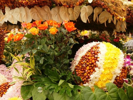 orange roses and bloming flowers - flowers