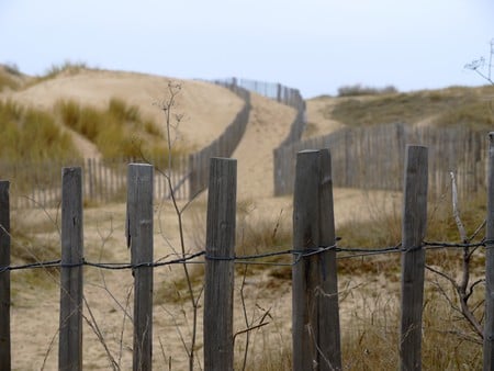 Beach - wood, beach, way, sun, sand