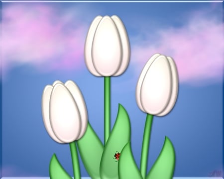 White Tulips - nature, abstract, 3d, tulips, flowers, lady bug, photo shopped, spring