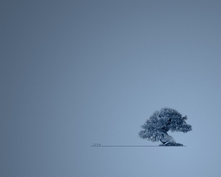 Relationship With The Tree Of Life !!! - photography, background, gray, abstract